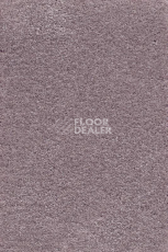 Ковролин AW Masquerade Gaudia 67 фото 1 | FLOORDEALER